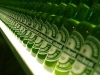 Обои heineken 19