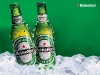 Обои heineken 67