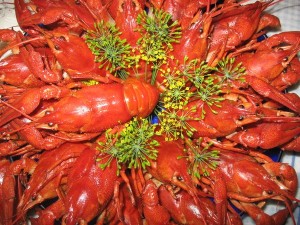 Раки
