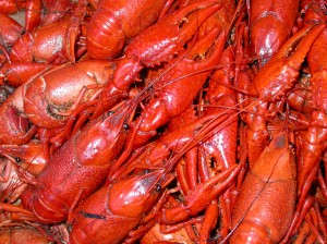 Раки